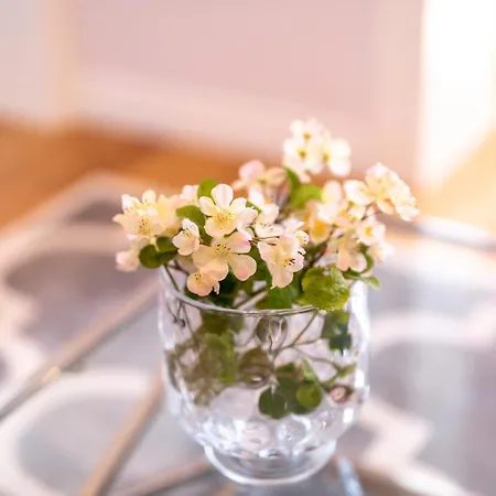 Ξενοδοχείο Apartament Barbara Κατοβίτσε