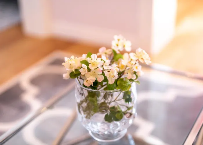 Hotel Apartament Barbara Katovice